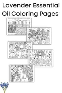 Lavender Essential Oil Coloring Pages