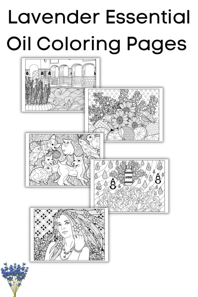 Lavender Essential Oil Coloring Pages