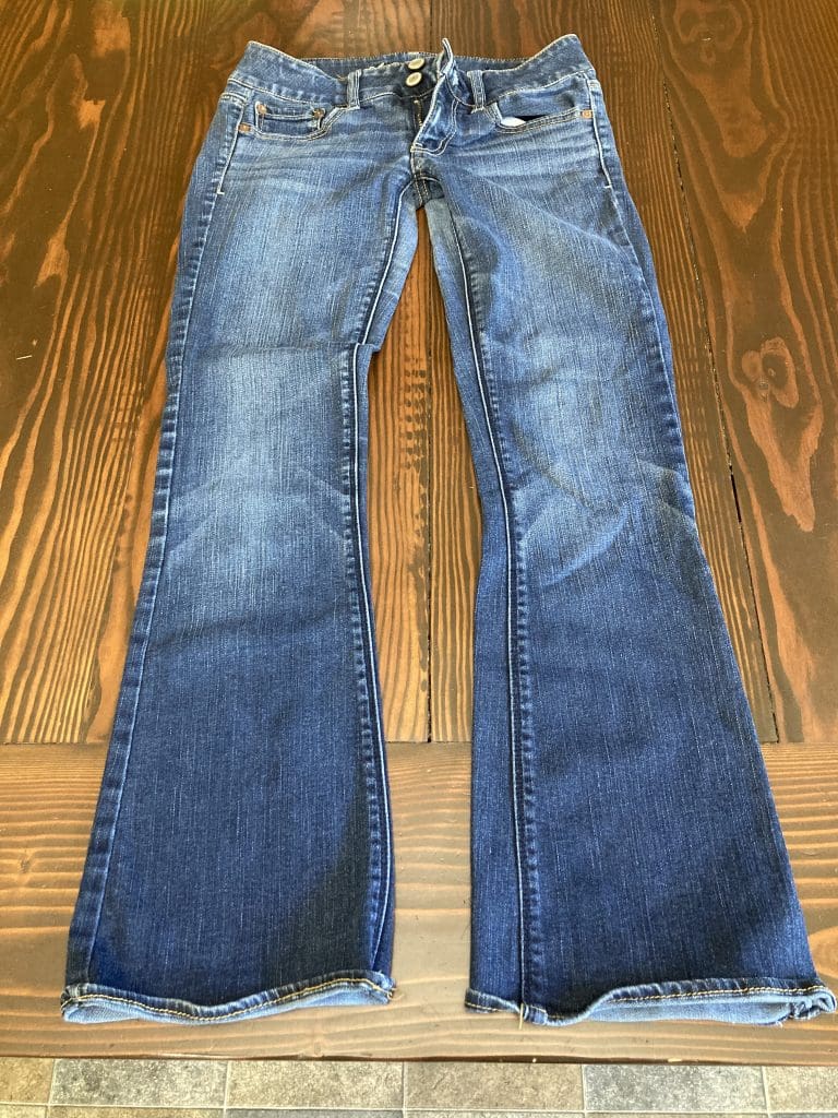 American Eagle Size 2 Short Artist jeans