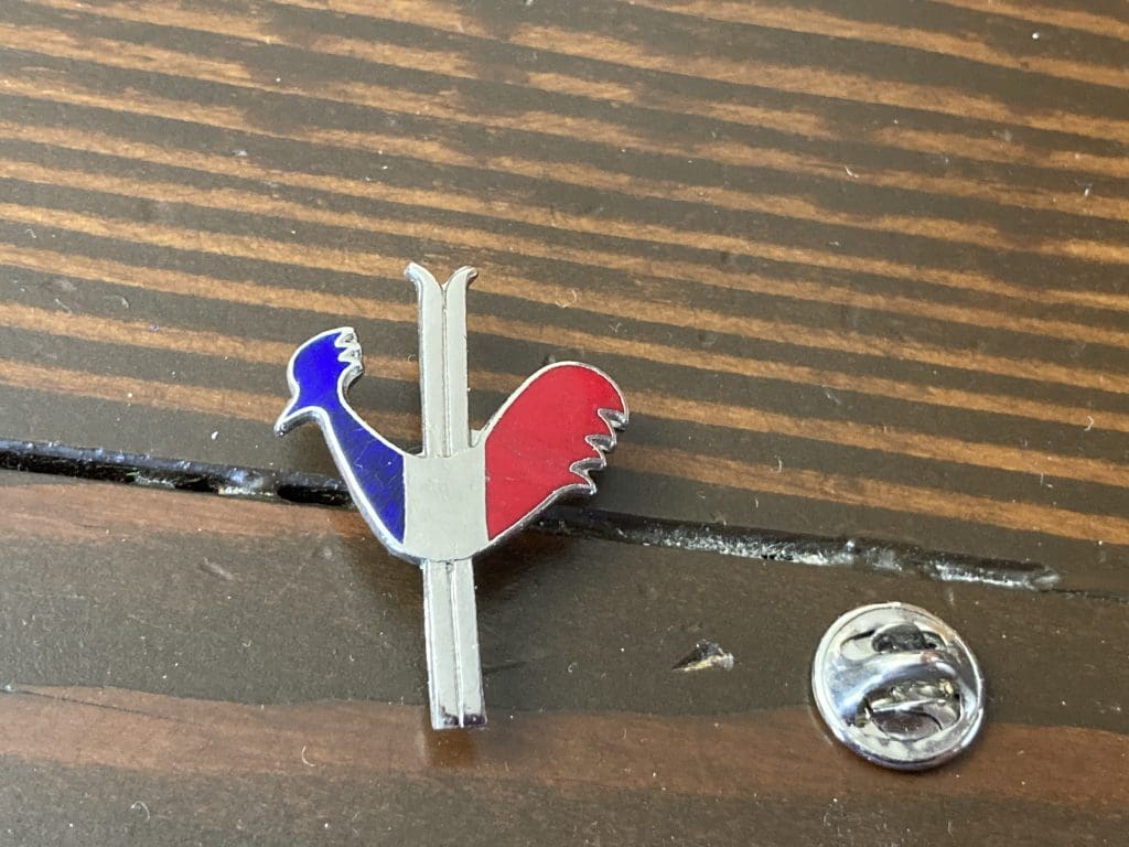 French Ski Team lapel pin