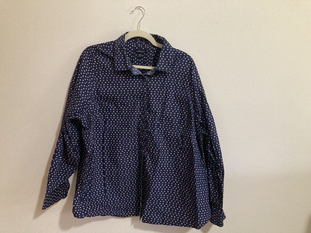 My eBay Finds for August 2025 Lands End No Iron Supima button up shirt Size 22W